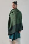 SHAZA_Green Arzoo Zari And Pashmina Reversible Shawl _Online_at_Aza_Fashions