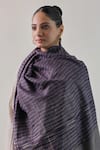 Shop_SHAZA_Blue Arzoo Pashmina Zari Ekkat Stripe Reversible Shawl _at_Aza_Fashions