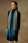 SHAZA_Multi Color Saya Ombre Hand Painted Pashmina Stole _Online_at_Aza_Fashions