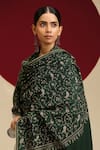 SHAZA_Green Bel Jama Phul-bel Embroidered Shawl _Online_at_Aza_Fashions