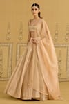 Shyam Narayan Prasad_Gold Brocade, Tissue, Organza Embroidery, Zari Square Neck Zardozi Lehenga Set _at_Aza_Fashions