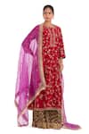 Buy_Kora_Red Chanderi , Organza Embroidery, Dori Jaal Kurta Sharara Set _at_Aza_Fashions