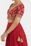Buy Kora Red , , , Organza Dori Blouse And Lehenga Set Buy_Kora_Red , , , Organza Dori Blouse And Lehenga Set