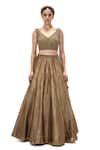 Mimamsaa_Brown Tissue Sequins, Stones, Embroidery, Zari Shereen Handwoven And Lehenga Set _Online_at_Aza_Fashions
