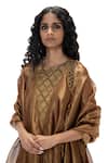 Mimamsaa_Brown Tissue, Silk Beads, Embroidery, Metallic Nita Handwoven And Kurta Set _Online_at_Aza_Fashions