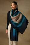 Shop_SHAZA_Multi Color Saya Ombre Hand Painted Pashmina Stole _at_Aza_Fashions