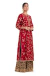 Buy_Kora_Brown Chanderi Silk Gota Patti, Tassels Crushed Sharara With Border _at_Aza_Fashions