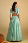 Shop_RAYASHA KHAN_Blue Silk, Net Cut Work V-neck Bluebells Crystal Chiffon Lehenga Set _at_Aza_Fashions