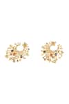 Isharya_Gold Plated Crystals, Stones Rumis Last Poem Earrings _Online_at_Aza_Fashions