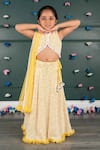 Buy_Shruti Jalan_Yellow Georgette, Shantoon, Net Mirrors, Embroidery, Tassels, Work Lehenga Set _at_Aza_Fashions