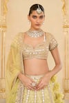 Arpita Mehta_Mint Net Mirrors, Embroidery, Pom-poms, Tassels Thread And Hand Lehenga Set _at_Aza_Fashions
