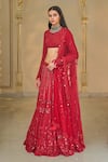 Arpita Mehta_Red Georgette, Net Embroidery, Mirrors, Sequins High Hand Linear Lehenga Set _Online_at_Aza_Fashions