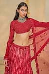 Buy_Arpita Mehta_Red Georgette, Net Embroidery, Mirrors, Sequins High Hand Linear Lehenga Set 