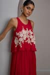 Maisolos_Red Net, Georgette Embroidery Round Neck, Scoop Crop Top With Gathered Skirt _Online_at_Aza_Fashions