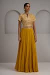 Maisolos_Mustard Silk, Georgette Embroidery, Sequins Mandarin Hand Blouse Skirt Set _Online_at_Aza_Fashions
