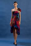Cedar & Pine_Multi Color Tulle, Satin Sequins, Brooches Carnie One Shoulder Embroidered Gown _Online_at_Aza_Fashions