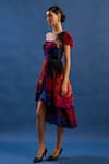 Buy_Cedar & Pine_Multi Color Tulle, Satin Sequins, Brooches Carnie One Shoulder Embroidered Gown _Online_at_Aza_Fashions