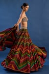 Cedar & Pine_Multi Color Tissue, Brocade Embroidery, Rouge Bohemian Chevron Lehenga Set _Online_at_Aza_Fashions
