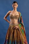 Cedar & Pine_Multi Color Tissue, Brocade Crystals, Zari, Paradisso Printed Lehenga Set _Online_at_Aza_Fashions