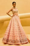 Shop_Cedar & Pine_Pink Organza, Silk, Tulle Embroidery, Stones, Beads, Nighat Lehenga Blouse Set _Online_at_Aza_Fashions