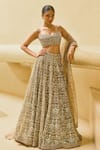 Buy_Cedar & Pine_Gold Tulle, Organza Embroidery, Beads, Sequins Sand Shimmer Lehenga Blouse Set _at_Aza_Fashions
