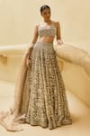 Shop_Cedar & Pine_Gold Tulle, Organza Embroidery, Beads, Sequins Sand Shimmer Lehenga Blouse Set _at_Aza_Fashions