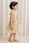 A Little Fable_Beige Polyester, Tulle Fabric Flowers Floral Applique Shimmer Dress _Online_at_Aza_Fashions