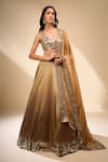 Buy_Seema Gujral_Gold Mirrors, Embroidery V-neck Blouse Lehenga Set _at_Aza_Fashions