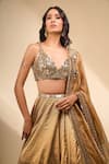 Shop_Seema Gujral_Gold Mirrors, Embroidery V-neck Blouse Lehenga Set _Online_at_Aza_Fashions