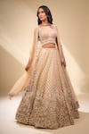 Seema Gujral_Beige Net Pearls, Sequins, Embroidery V-neck Floral Lehenga Set _Online_at_Aza_Fashions