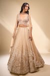Buy_Seema Gujral_Beige Net Pearls, Sequins, Embroidery V-neck Floral Lehenga Set _Online_at_Aza_Fashions