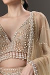 Shop_Seema Gujral_Beige Net Pearls, Sequins V-neck And Embellished Lehenga Set _Online_at_Aza_Fashions