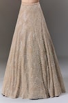 Seema Gujral_Beige Net Pearls, Sequins V-neck And Embellished Lehenga Set _at_Aza_Fashions
