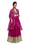 Buy_Neha Khullar_Pink Raw Silk, Organza V Neck Embroidered Lehenga Set _at_Aza_Fashions