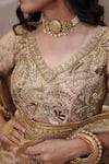 Buy_Vedangi Agarwal_Gold Tissue, Brocade Embroidery, Zari V-neck Saree With Blouse _Online_at_Aza_Fashions