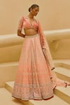 Cedar & Pine_Pink Organza, Velvet, Tulle Embroidery, Zari, Zuleikha Ombre Lehenga Set _Online_at_Aza_Fashions