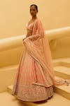 Buy_Cedar & Pine_Pink Organza, Velvet, Tulle Embroidery, Zari, Zuleikha Ombre Lehenga Set _Online_at_Aza_Fashions