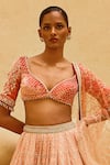 Shop_Cedar & Pine_Pink Organza, Velvet, Tulle Embroidery, Zari, Zuleikha Ombre Lehenga Set _Online_at_Aza_Fashions