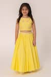 Partykles_Yellow Polyester, Silk Embroidery Dragonfly Crop Top And Skirt Set _Online_at_Aza_Fashions