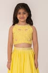 Buy_Partykles_Yellow Polyester, Silk Embroidery Dragonfly Crop Top And Skirt Set 