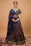 Buy_Ria Shah Label_Navy Organza, Tissue Embroidery, Sequins, Pearls, Mirrors, Printed Lehenga Set _at_Aza_Fashions