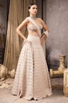 Buy_Rocky Star_Blush Silk, Net Sequins, Beads, Embroidery, Hand And Beadwork Lehenga Set _Online_at_Aza_Fashions