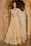 Zoon_Gold Net, , Tissue, Organza Embroidery, Mirrors, Aari Hand Lehenga Set _Online_at_Aza_Fashions