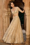 Zoon_Gold Net, , Tissue, Organza Embroidery, Mirrors, Aari Hand Lehenga Set _at_Aza_Fashions