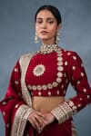Buy_RICHA AHLUWALIA_Red Chanderi Gota Patti, Embroidery, Mirrors High Neck Hand Saree And Blouse _Online_at_Aza_Fashions