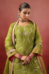 Shop_Anshu Wadhwa_Green Chanderi Embroidery V-neck Kurta Set 