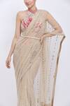 Dilnaz_Gold Net, Satin Embroidery, Sequins Pearl Line Hand Saree _Online