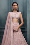 Shop_Ritika Mirchandani_Blush Crepe, Georgette, Net Sequins, Ophelia Floral Thread Bridal Lehenga Set _at_Aza_Fashions