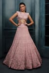 Shop_Ritika Mirchandani_Blush Crepe, Georgette, Net Crystals, Cordelia Floral Thread Bridal Lehenga Set _at_Aza_Fashions