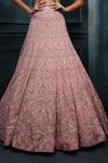 Buy_Ritika Mirchandani_Blush Crepe, Georgette, Net Crystals, Cordelia Floral Thread Bridal Lehenga Set _Online_at_Aza_Fashions